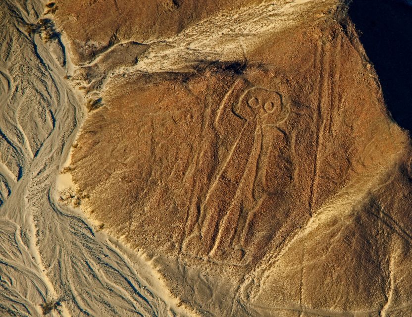 Lima: Ballestas Islands, Huacachina & Nazca Lines + Lunch - Transportation and Guides