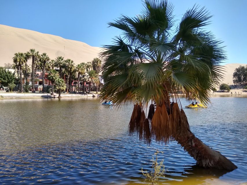 Lima: Ballestas Islands, Huacachina & Nazca Lines + Lunch - Ballestas Islands Excursion