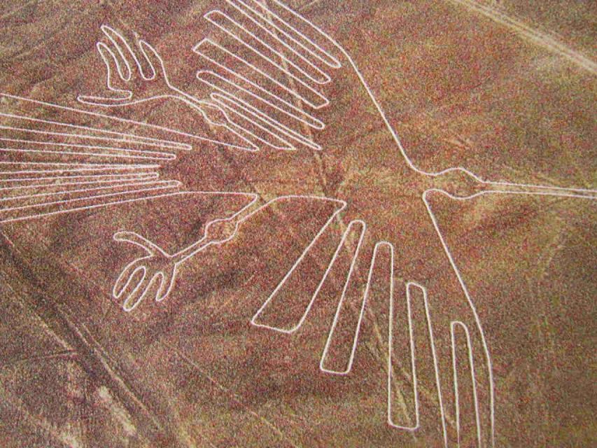 Lima: Ballestas Islands, Huacachina & Nazca Lines + Lunch - Inclusions and Exclusions