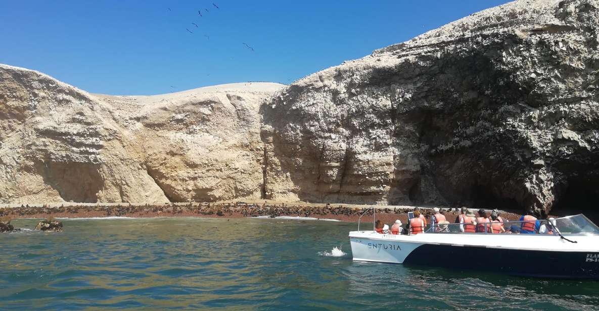 Lima: Ballestas Islands, Winery and Nazca Lines Private Tour - Pickup and Drop-off