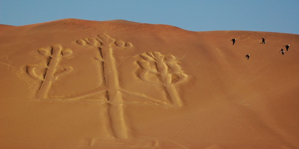 Lima: Ballestas Islands, Winery and Nazca Lines Private Tour - Ballestas Islands Boat Tour