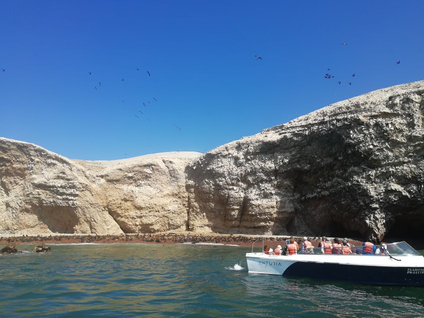 Lima: Ballestas Islands, Winery and Nazca Lines Private Tour - Included Meals