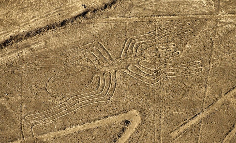 Lima: Ballestas Islands, Winery and Nazca Lines Private Tour - What to Bring