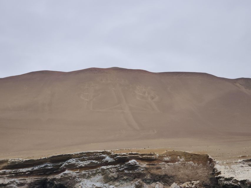 Lima: Full Day Tour to Paracas, Vineyards and Huacachina - Highlights of Paracas and Huacachina