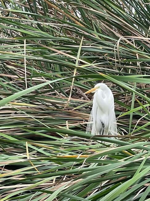 Lima: guided tour of a nature reserve on the Rimac River - An In-Depth Look at the Tour