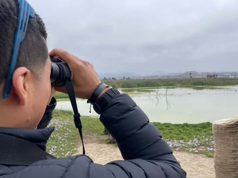 Lima: guided tour of a nature reserve on the Rimac River - Authentic Experiences and Traveler Insights