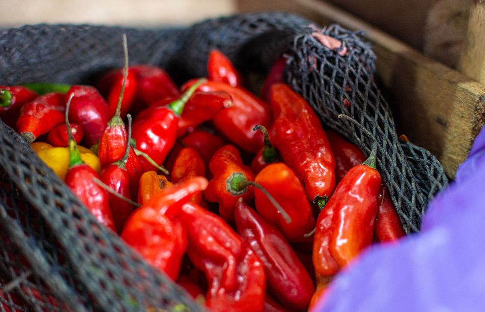 Lima: Historic Center Street Food, Market, and Eateries Tour - Booking and Cancellation Policies