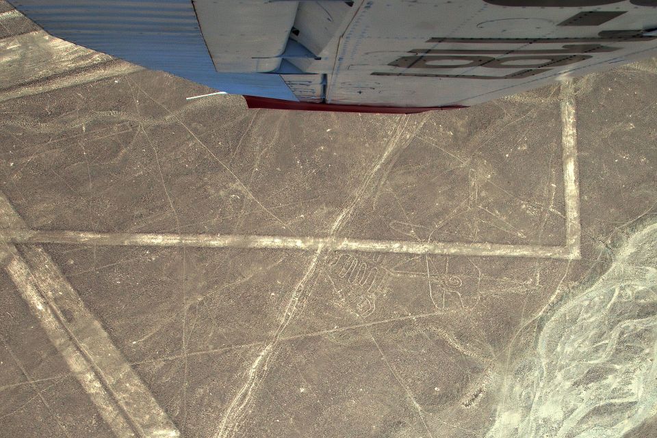 Lima: Nazca Lines, Winery and Huacachina Oasis Private Tour - Delightful Peruvian Cuisine