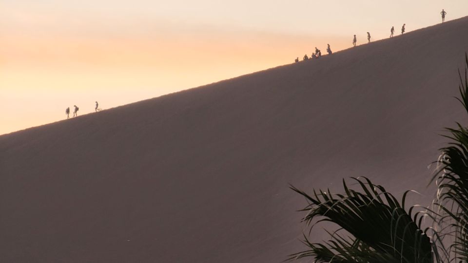 Lima to Nazca: Private 8-day Immersive Cultural Road Trip - Paracas and Huacachina