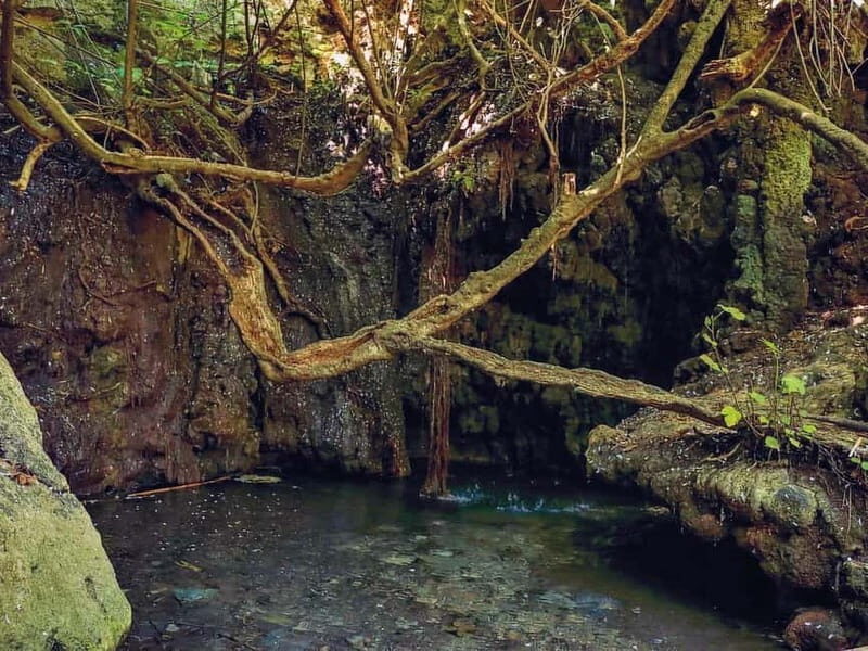 Limassol: Aphrodite Baths & Blue Lagoon Bus & Boat Day Tour - Discovering Cyprus’s Myth and Nature: A Review of the Limassol: Aphrodite Baths & Blue Lagoon Bus & Boat Day Tour