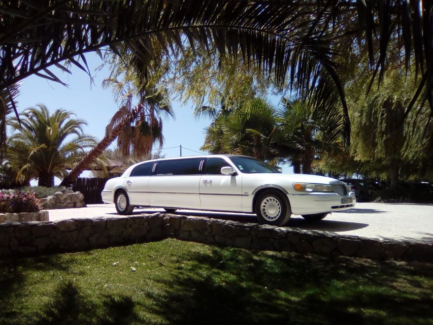 Limousine Rental - Highlights and Cancellation Policy