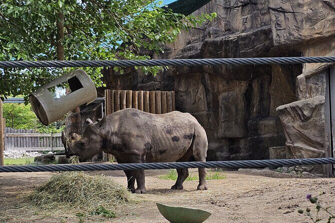 Lincoln Park Nature Museum and Zoo Public Walking Tour - Exploring the Itinerary in Detail