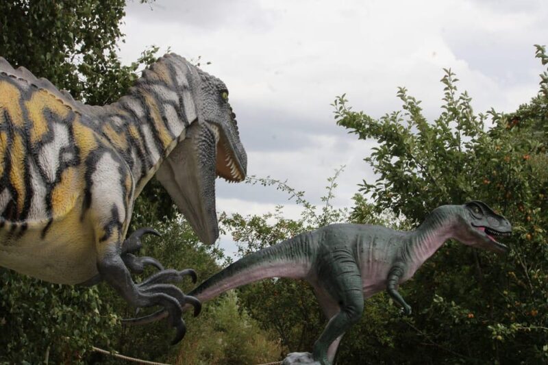 Lincolnshire: ARK Wildlife and Dinosaur Park Entry Ticket - Final Thoughts