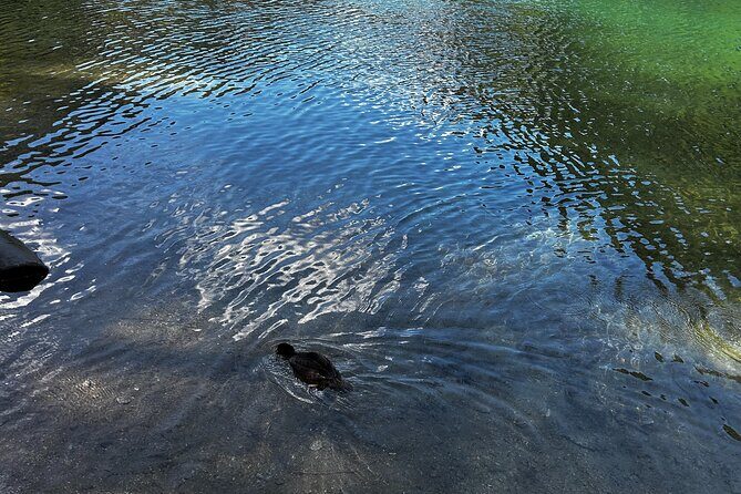 Lindeman and Chilliwack Lakes Sightseeing Tour - Key Points