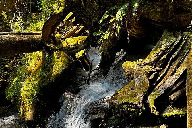 Lindeman and Chilliwack Lakes Sightseeing Tour - Additional Practical Considerations