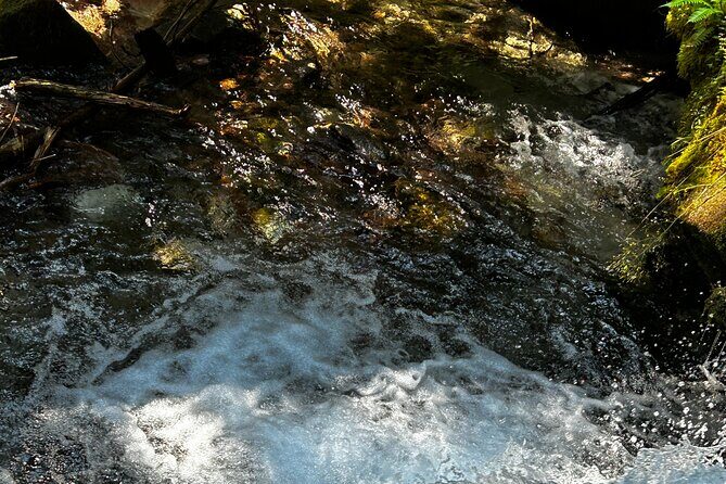 Lindeman and Chilliwack Lakes Sightseeing Tour - FAQs