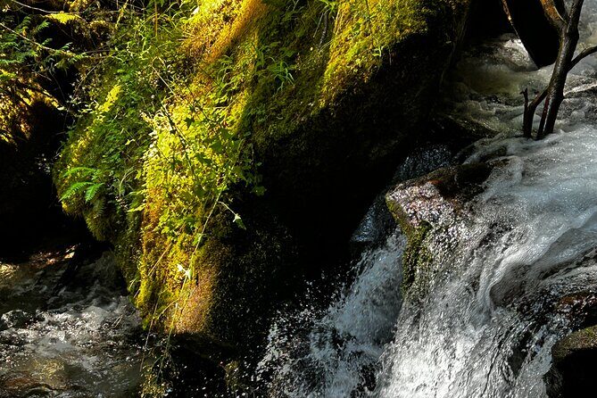 Lindeman and Chilliwack Lakes Sightseeing Tour - Final Recommendation