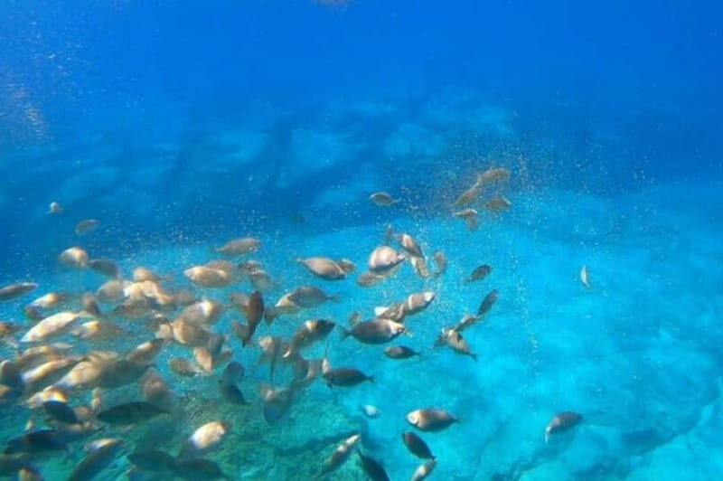 Lindos: Submarine Cruise with Swimming Stop at Navarone Bay - An Honest Look at the Experience