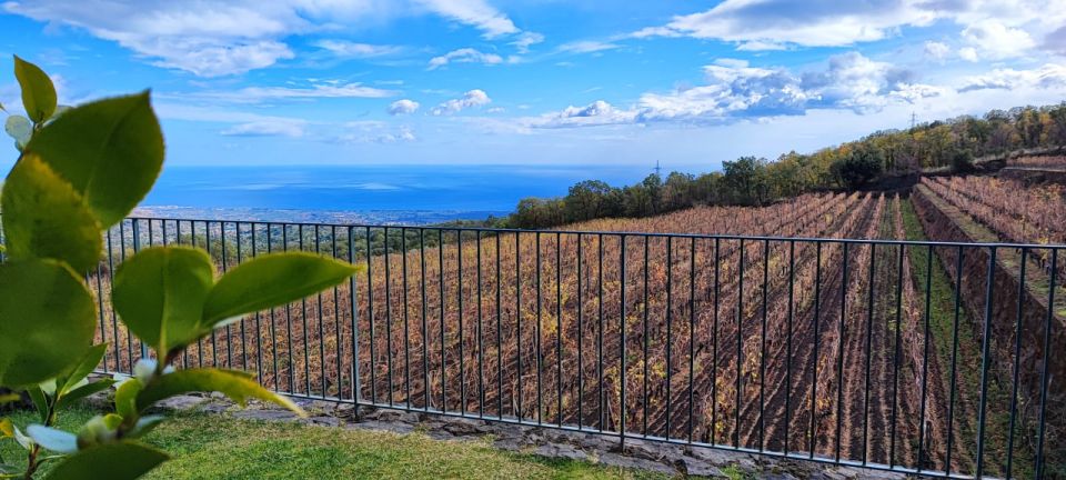 Linguaglossa: Turkish Spa and Massage With Wine Tasting - Key Points