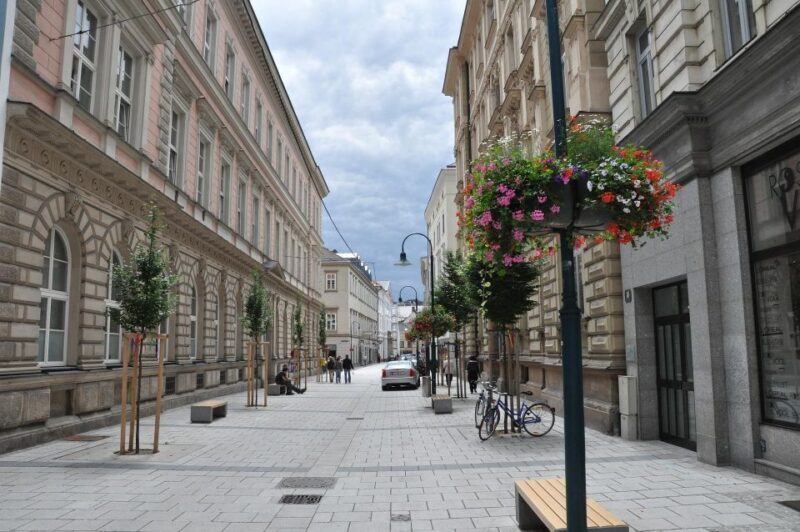 Linz - Private Historic Walking Tour - The Vibrant Shopping Street