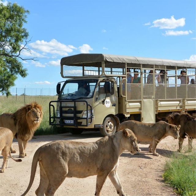 Lion Park Tour in Open Safari Vehicle - Itinerary Details