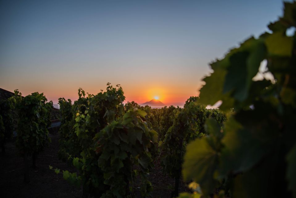 LIPARI: SUNSET WINE TASTING - Wine Tasting Menu