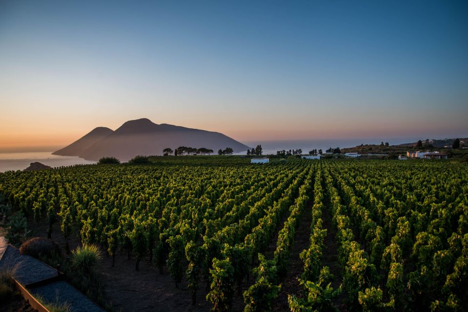 LIPARI: SUNSET WINE TASTING - Customer Feedback