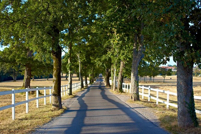 Lipica Stud Farm & Skocjan Caves From Trieste - Experience Highlights
