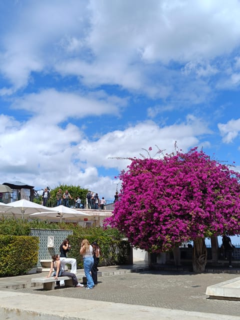 Lisbon: 2.5 hours Tuk Tuk tour in Old town and Centre - Who Will Love This Experience?