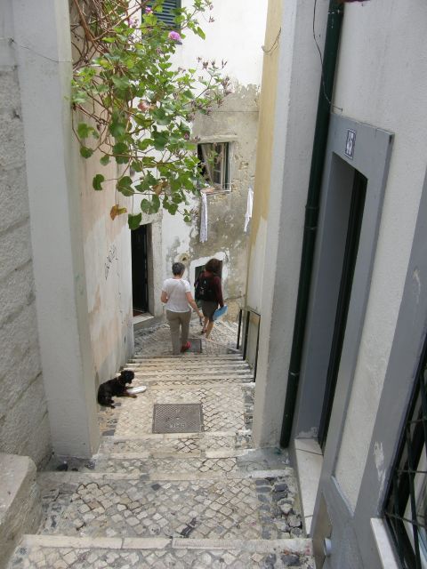 Lisbon: Alfama and São Jorge Castle Quarters Walking Tour - Why You’ll Love This Tour