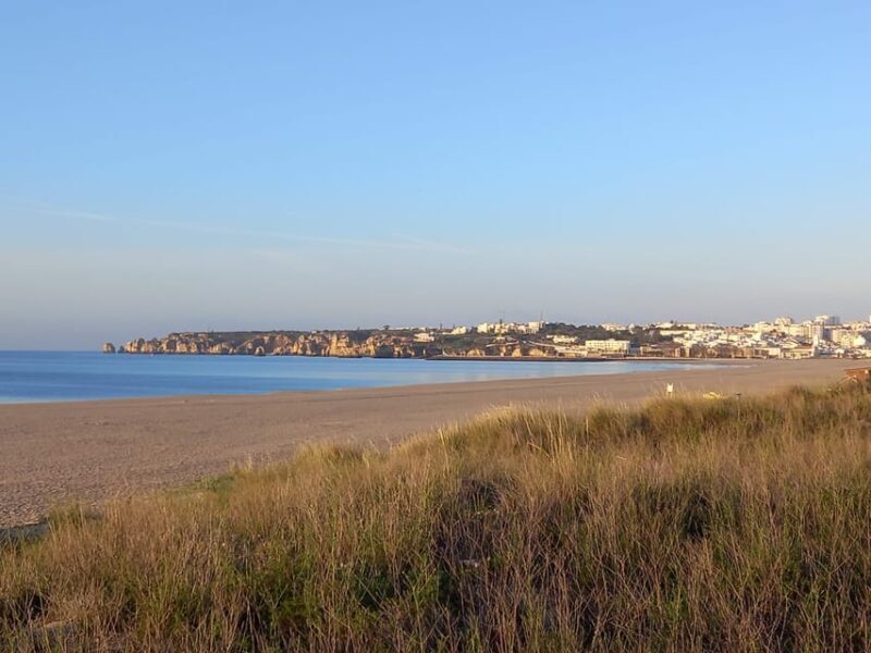 Lisbon: Algarve Coast Tour Including Boat Trip to Caves - Who Will Love This Tour?