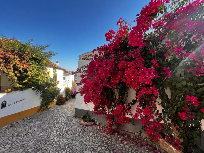 Lisbon and Obidos private day trip from Porto - Return Journey and Reflection