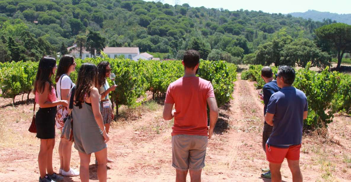 Lisbon: Arrábida and Sesimbra Day Trip With Wine - Itinerary