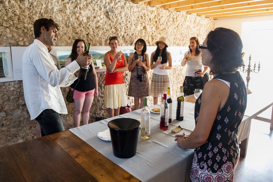 Lisbon: Arrábida and Sesimbra Day Trip With Wine - Wine Tasting