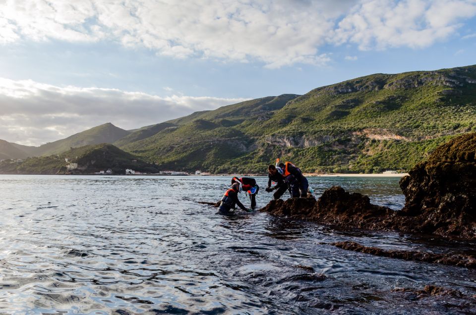 Lisbon: Arrábida Kayak and Coasteering Adventure Tour - Who Should Consider This Tour?