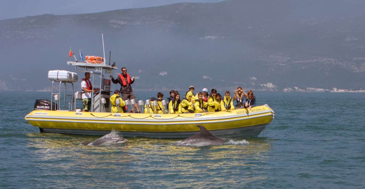 Lisbon: Arrábida Natural Park Dolphin Watching Boat Tour - Inclusions and Exclusions