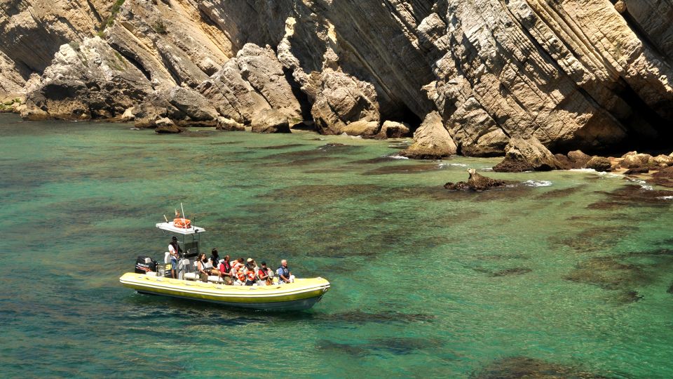 Lisbon: Arrábida Natural Park Dolphin Watching Boat Tour - Dolphin Sighting Probability