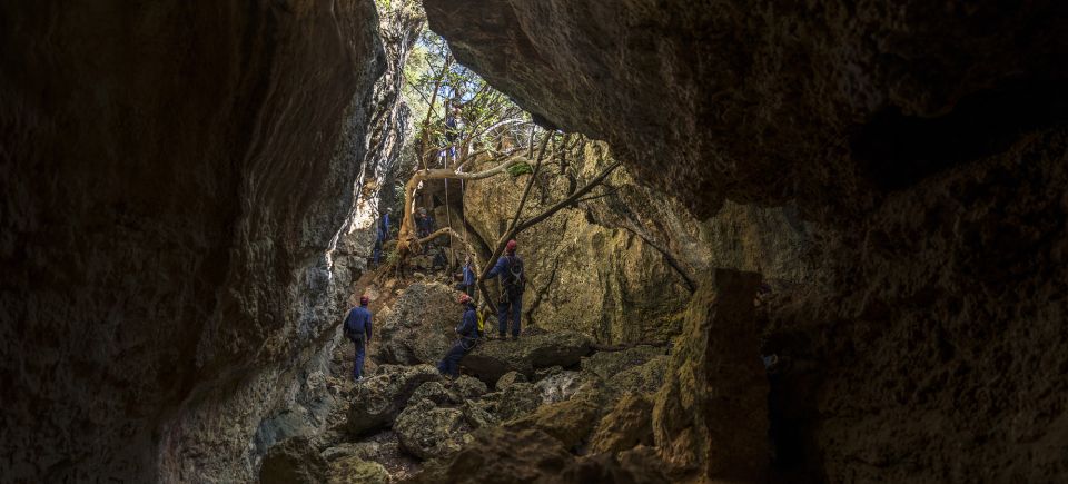 Lisbon: Arrábida Natural Park Via Ferrata & Abseiling Trip - Age and Health Restrictions