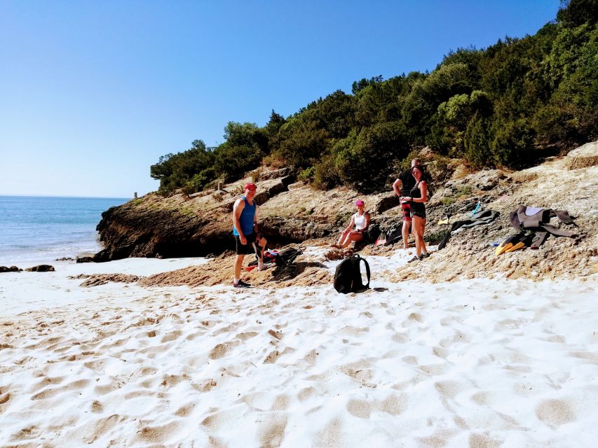 Lisbon: Arrábida Snorkeling Adventure - Inclusions