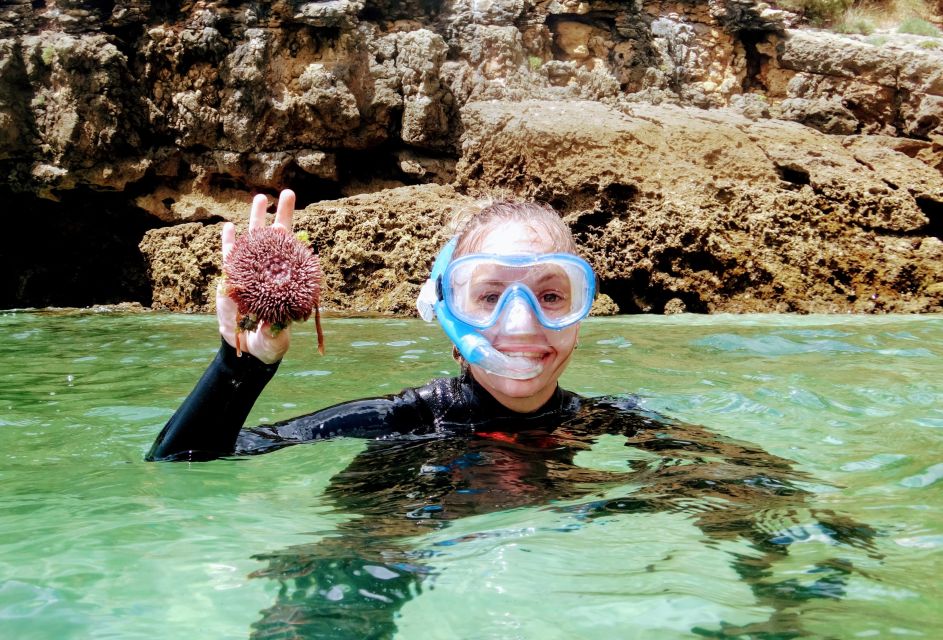 Lisbon: Arrábida Snorkeling Adventure - Booking and Availability