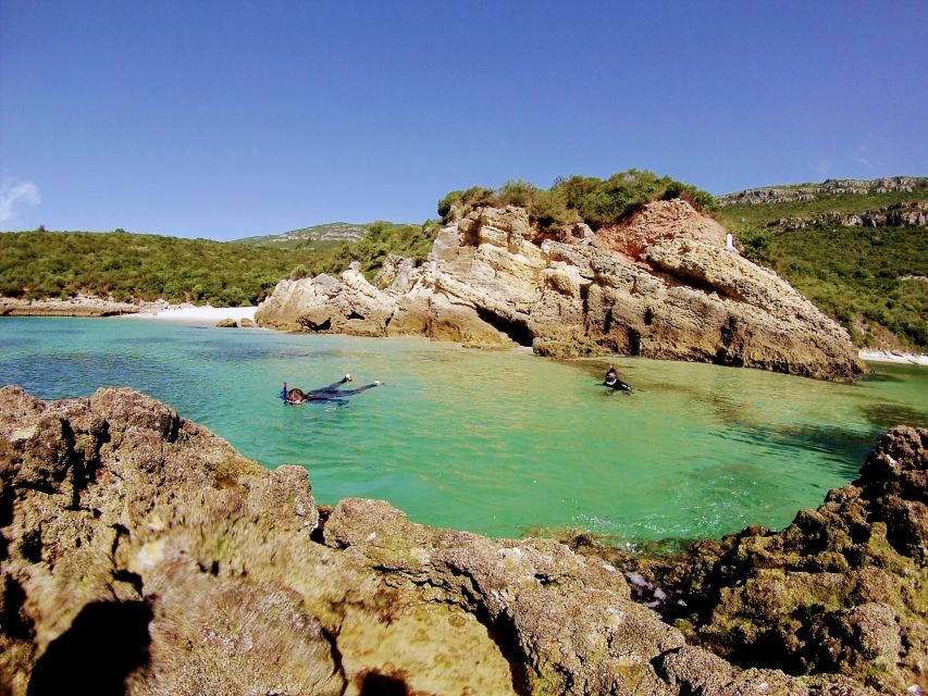 Lisbon: Arrábida Snorkeling Adventure - Meeting Point and Pickup