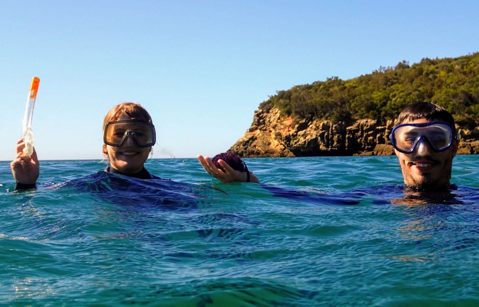 Lisbon: Arrábida Snorkeling Adventure - Frequently Asked Questions