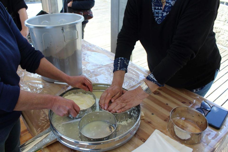 Lisbon: Azeitão Cheese Workshop With Wine & Food Tasting - Scenic Winery Tour and Tasting