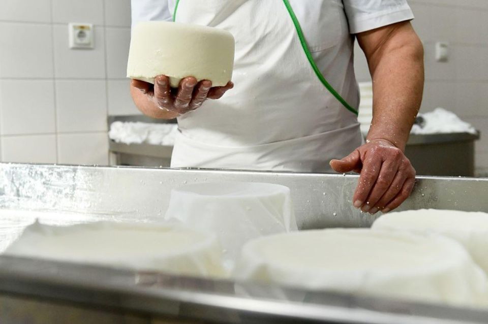 Lisbon: Azeitão Cheese Workshop With Wine & Food Tasting - Customized Transportation and Pickup