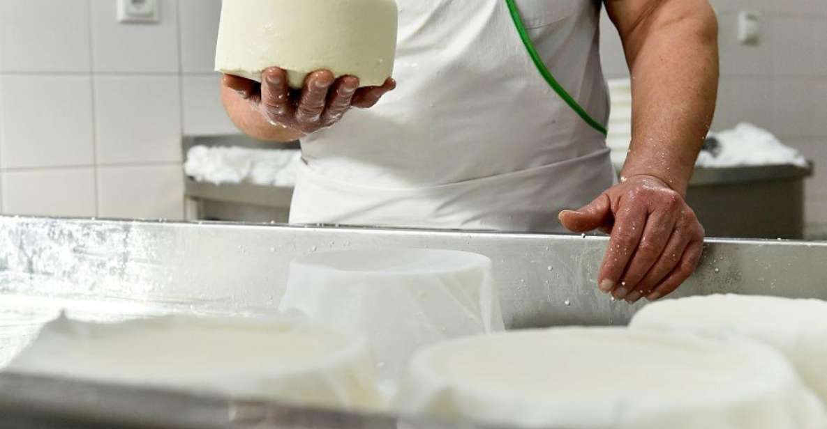 Lisbon: Azeitão Cheese Workshop With Wine & Food Tasting - Cancellation Policy and Flexibility
