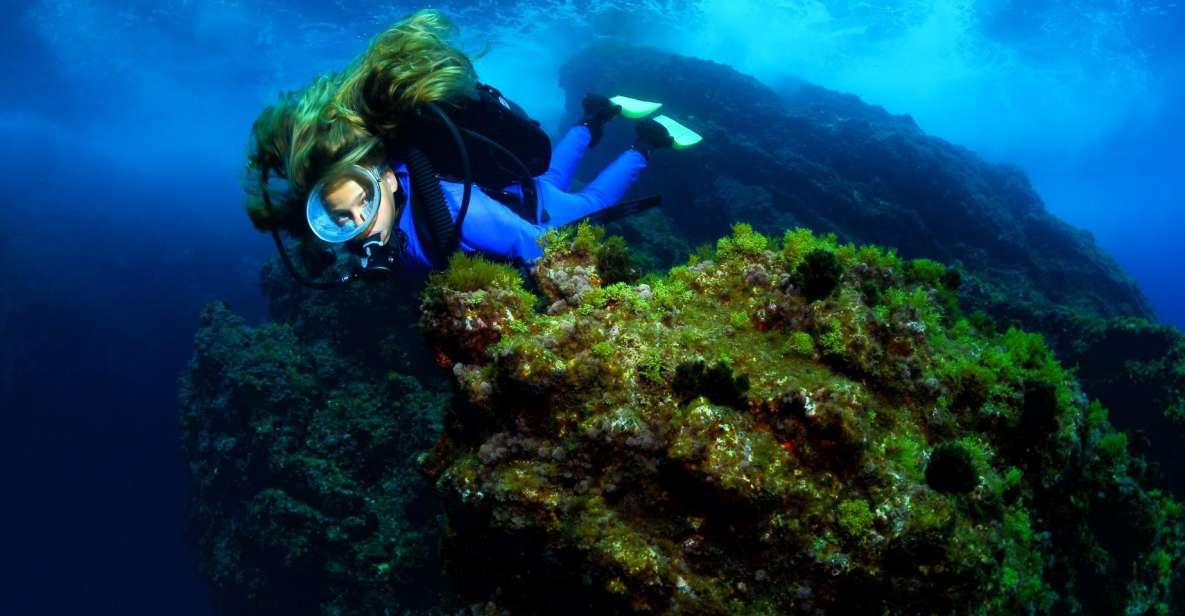 Lisbon: Become a Scuba Diver in 3-Days - Marvel at Biodiversity in Europe