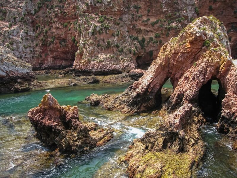 Lisbon: Berlenga Island Full Day Tour - FAQs