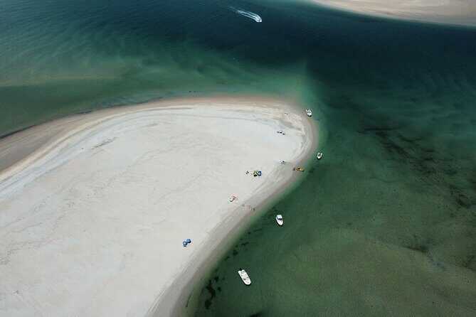 Lisbon: Boat Tour in Paradise - Authentic Experiences & Traveler Feedback