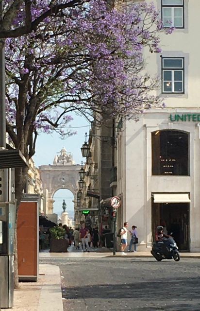 Lisbon: Chiado the Bohemian Walking Tour Downhill to Baixa - Cultural and Historical Insights