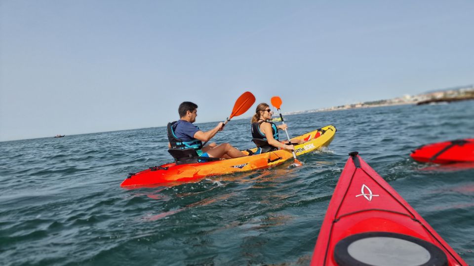 Lisbon Coast Guided Kayak Tour - Tour Activities
